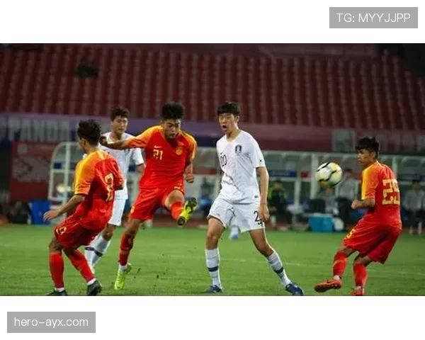 金玟哉强势助阵，新赛季表现备受期待