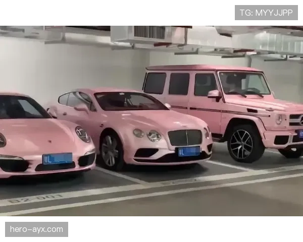 莫兰特家车库比我家还大，里面停的车比我见过的都贵